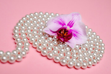 A pearl necklace lies on a pink background
