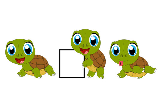 cute turtle animal cartoon illustration
