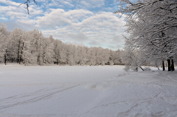 ski run on the banks of Red Pond in Izmaylovo Forest Park, Moscow