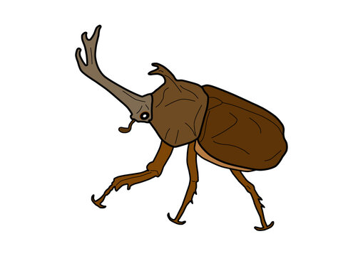 かぶとむし Images Browse 805 Stock Photos Vectors And Video Adobe Stock