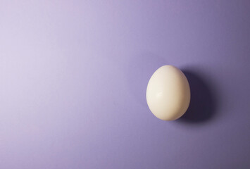 white egg on a purple background