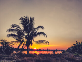 Dramatic  sunset landscape with orange sky, silhouettes of coconut palm trees