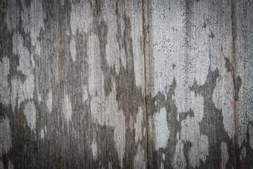 old wood background and texture