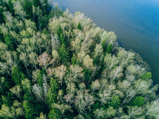 Aerial top view of spring green trees and blue lake