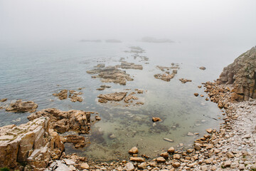 Flora and fauna of the Russian Far East. Wildlife and flora and fauna of Russia