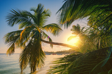 Landscape of paradise tropical island beach