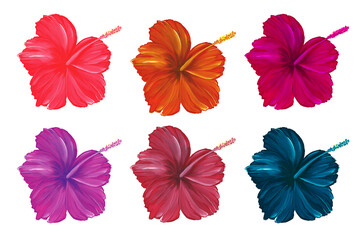 Set of hibiscus flowers in different shades isolated on a white background. Exotic tropical plants. Watercolor illustration. For the design of postcards, banners, packaging.