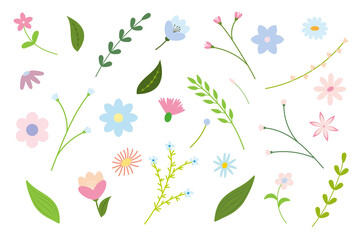 set of flowers and twigs on a white background