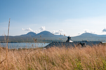 View of the paps of Jura hills over a field with golden tall grass and a roof of a distillery, Isle...
