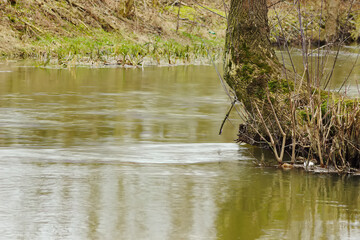 A landscape with a calmly flowing river and a tree.