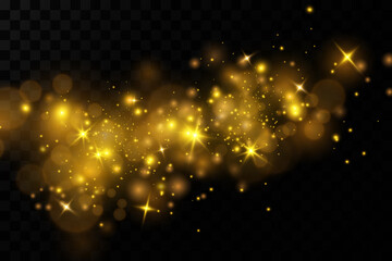 Christmas light effect. Sparkling magical dust particles.The dust sparks and golden stars shine with special light.
