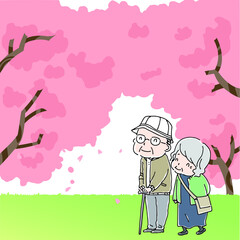 公園で立ち止まり桜を見るおじいさんとおばあさん