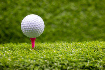 Golf ball is on pink tee on green grass