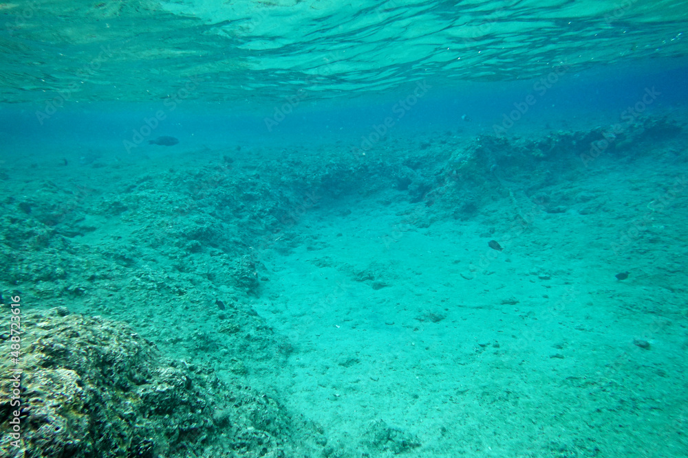 Canvas Prints Underwater background