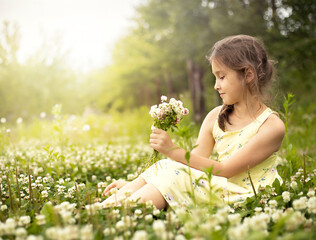 beautiful girl sitting in the meadow