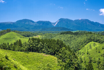 Fototapeta na wymiar 緑の森と九重連山