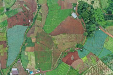 A top view of Chiangmai land showing the organic shape of a boundary and its colorful agriculture. - Powered by Adobe