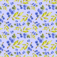 Fototapeta na wymiar Blueberry seamless print. Green leaves and berries on light blue background. Watercolor illustration