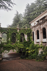 Fototapeta na wymiar Old palace with green plants. 