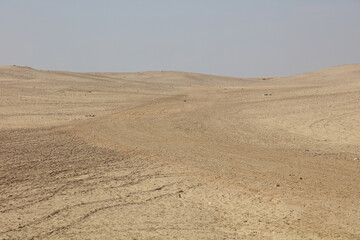 Fototapeta na wymiar The desert