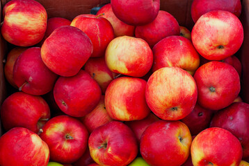 Lots of red and yellow apples in a box. Texture of round apples close up. Sale of fruit at the market and supermarket.