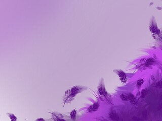 Fototapeta na wymiar purple feathers background