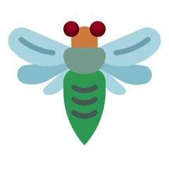 cicada
