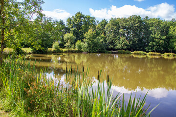 Montbert. Le plan d'eau de Chantermerle, principal lieu de promenade. Loire-Atlantique. Pays de la Loire