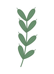 leaves and foliage