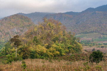 Fototapeta na wymiar Beautiful tropical mountain landscape in autumn colors under a cloudy sky in scenic agricultural valley, Chiang Dao countryside, Chiang Mai, Thailand