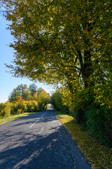 Fototapeta na wymiar Asphalt road in autumn landscape.
