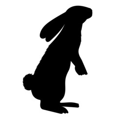 Obraz premium hare, rabbit silhouette on white background, isolated vector