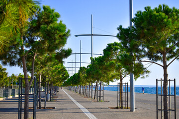sidewalk guide lines for visually impaired between pine trees on the seafront Thessaloniki Greece