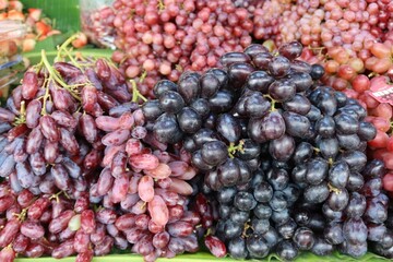 red grapes on a vine