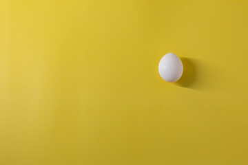 A white chicken egg lies on a yellow background on the right