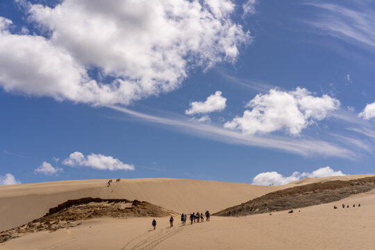 Mid Day At Te Paki Giant Sand Dunes In Far North, New Zealand