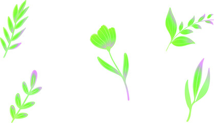 watercolour spring flower branches with leaves