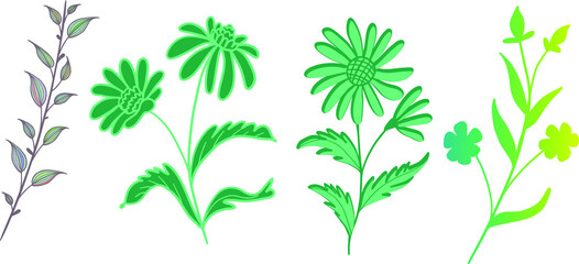 printable watercolour floral branches with leaves vector	