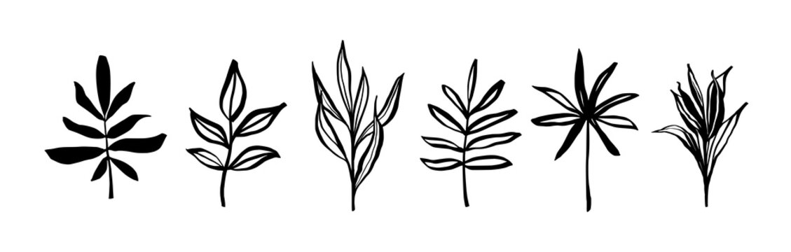 Set of ink botanical elements. Sketchy leaves and branches drawing. Isolated.