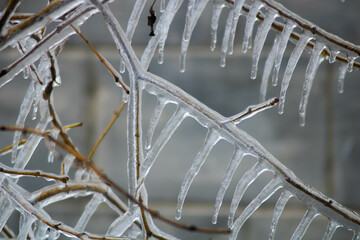 Spring eve in Nizhny Tagil