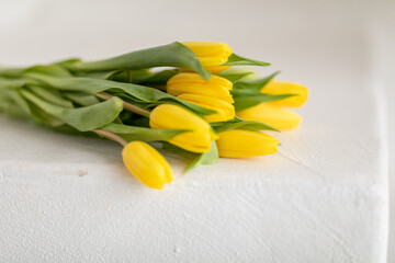 Yellow tulips on a light background. Bouquet of spring flowers. Selective focus. copy space.