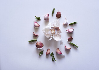 A circular explosion of garlic and herbs on white background. Flat lay, top view