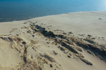Panoramic aerial view of the golden sand dunes of the Curonian Spit. Baltic Sea coastline, forest belt.