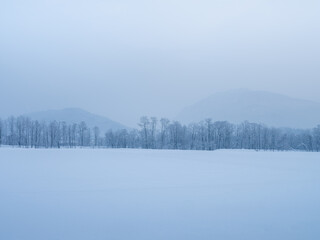 吹雪の雪原に佇む森、遠くにはもつこりした
山々が重なり、空も山も一面灰色で統一された冬の風景。
