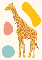 Giraffe cartoon vector illustration. Poster design with african giraffe in retro color palette. Abstract shapes vinage poster template.