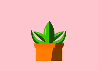 cactus, aloe vera , house flower plant in flowerpot  illustration design