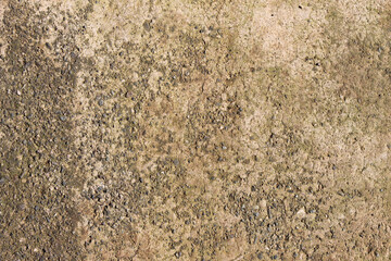 stone wall texture