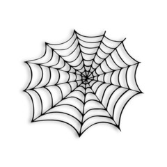 Fototapeta premium spiderweb