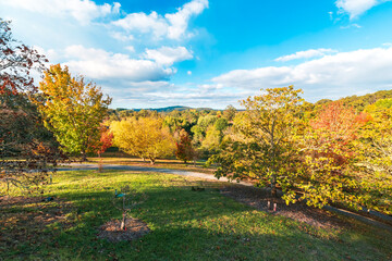 Walking trail in autumn colours across the Mount Lofty park, Adelaide Hills, South Australia