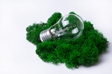 energy saving light bulb with leaves